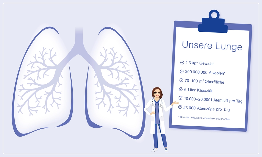 Interessante Fakten zur Lunge – die Lunge ist ein Wunder.